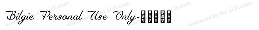 Bilgie Personal Use Only字体转换